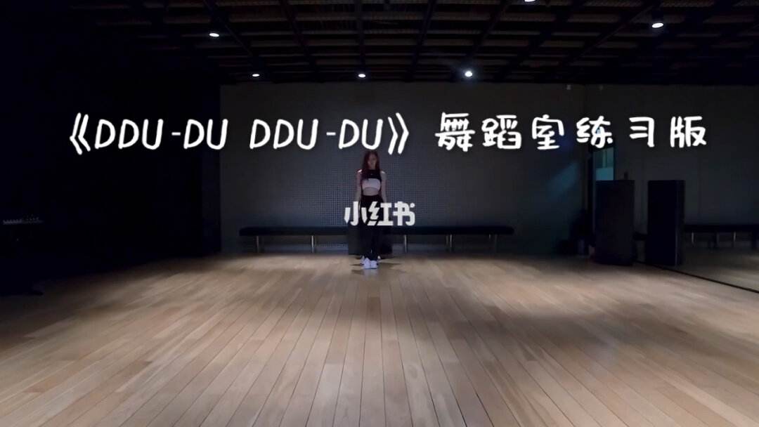 ddu-ddu舞蹈教学原版背面的简单介绍