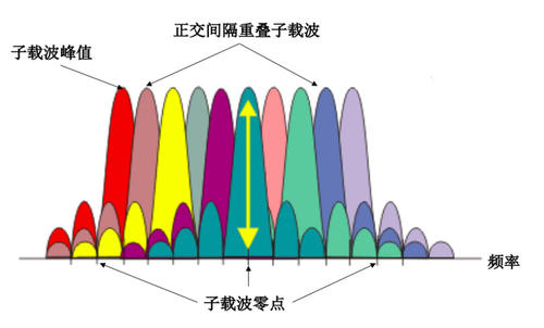 EXX海运费