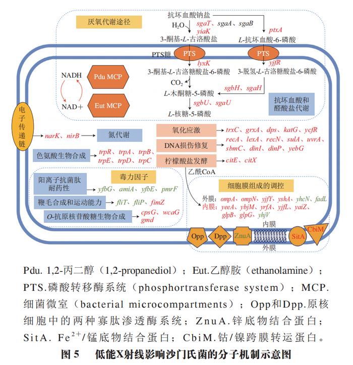 关于贴片三极管cfr参数的信息