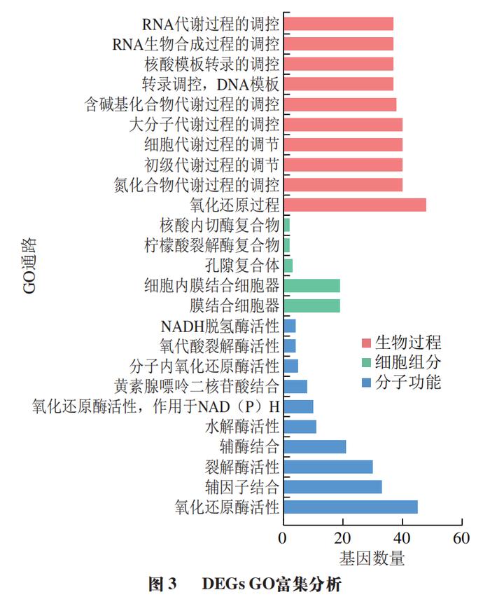 海运费核算依据